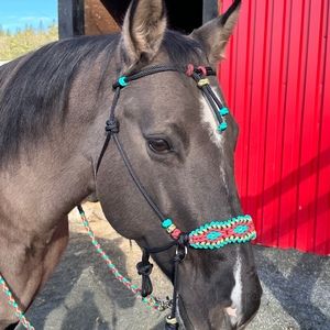 Meet your Posher, Brianne